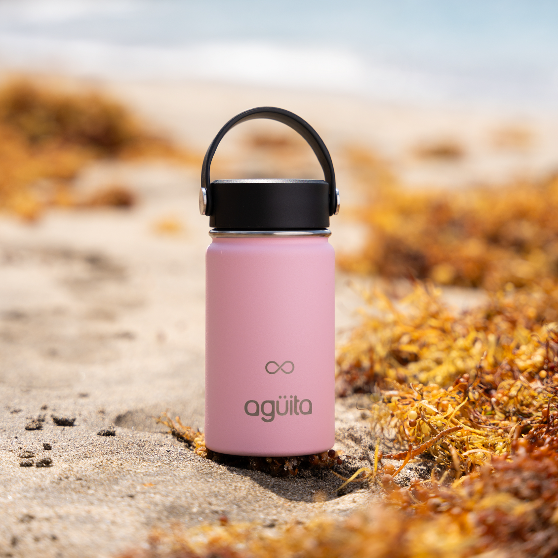 Agüita Botella Thermos Doble Capa 355ml