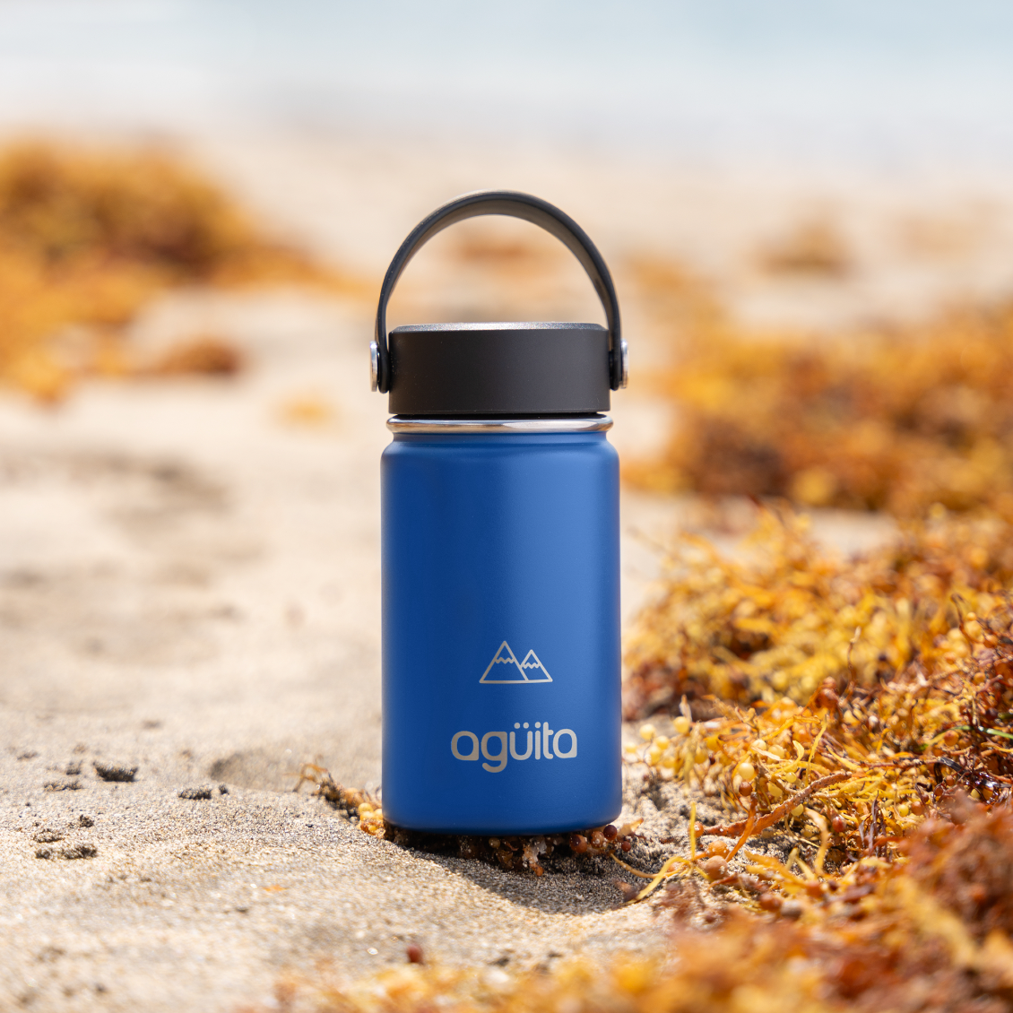 Agüita Botella Thermos Doble Capa 355ml